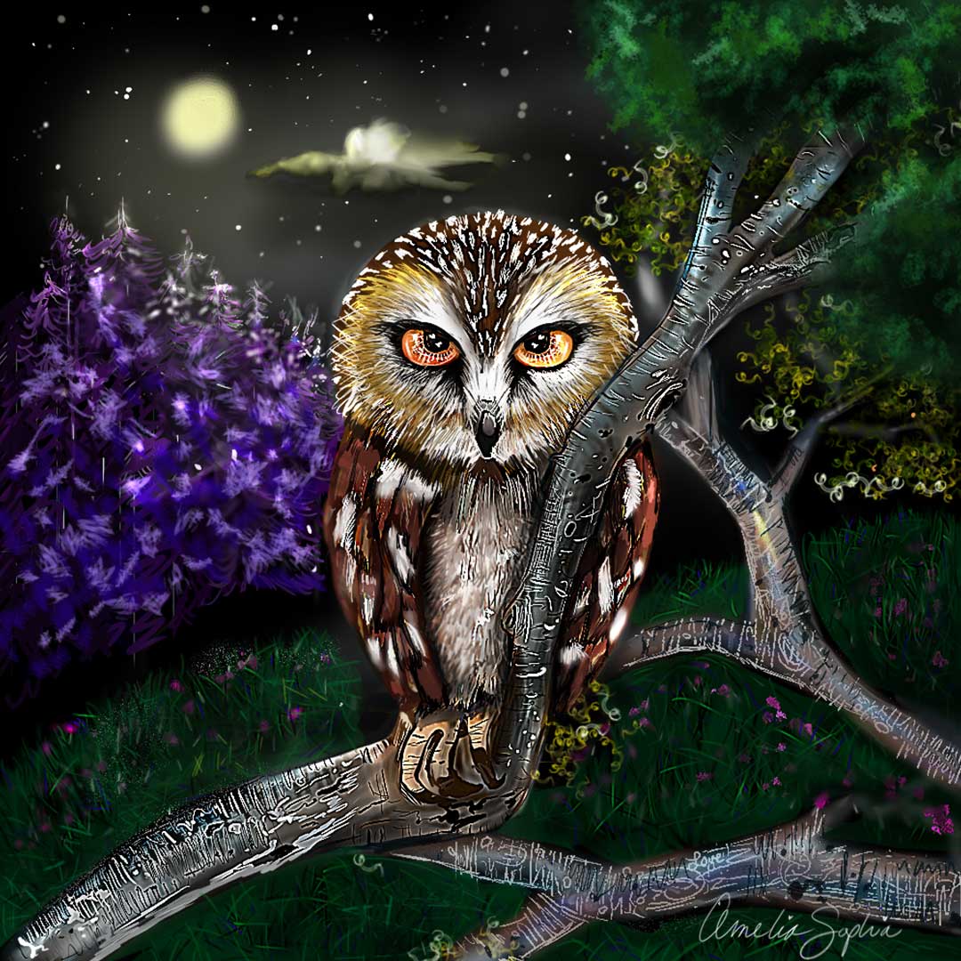 The Owl's Purple Night